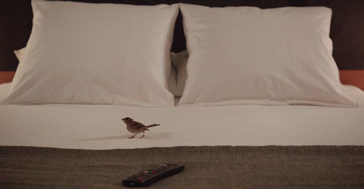 Escena 1 Alas de libertad