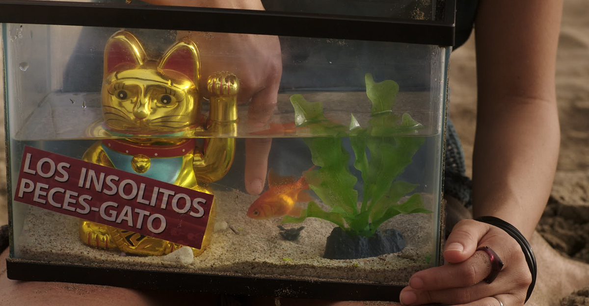 Escena 1 LOS INSÓLITOS PECES GATO